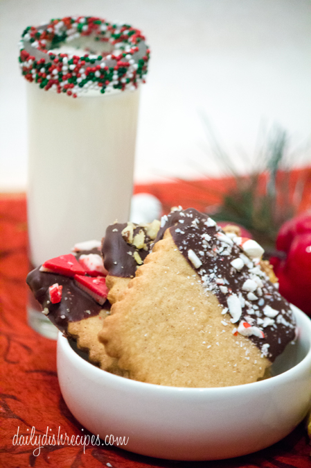 Chocolate Dipped Spice Cookies